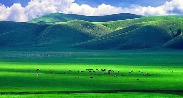 呼倫貝爾大草原好玩嗎？