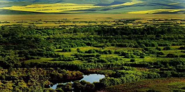 感受東亞之窗的異域風情——滿洲里